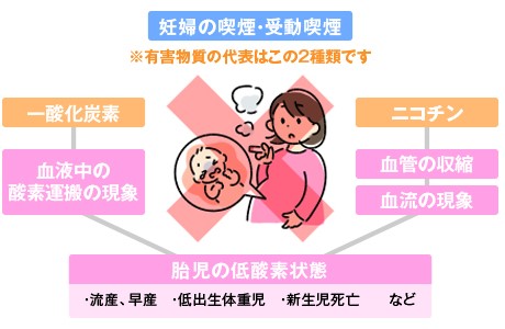 妊婦