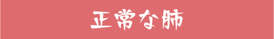 正常な肺